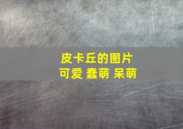 皮卡丘的图片 可爱 蠢萌 呆萌